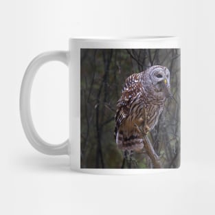 Barred Owl with vole Mug